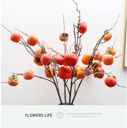 Fruit Flat Persimmon Branch - False Fruit