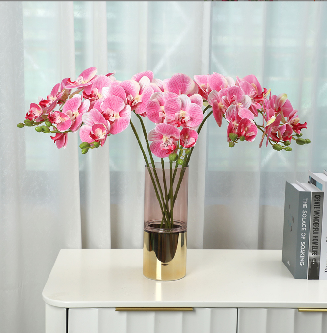 Phalaenopsis - False Flowers