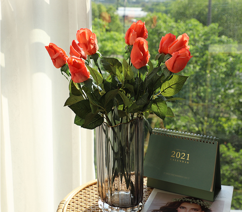 Roses - Roses Before Bloom