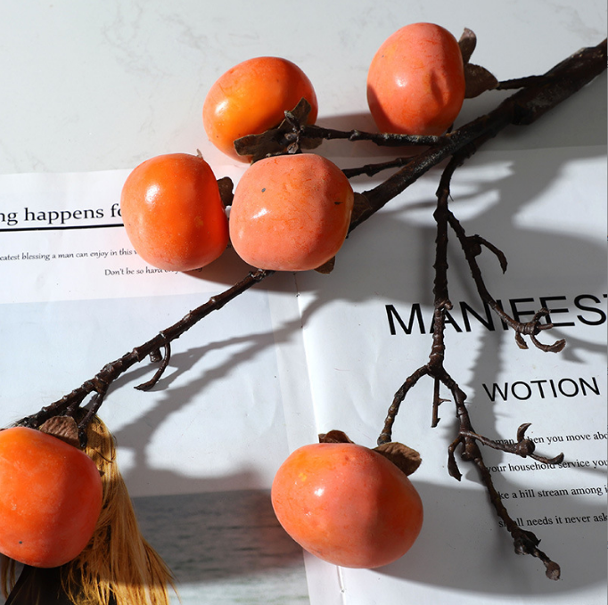 Fruit Flat Persimmon Branch - False Fruit