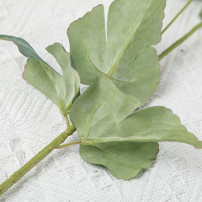 Tree Peony - False Flowers