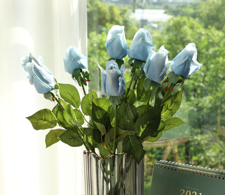 Roses - Roses Before Bloom