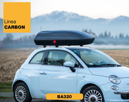 Carbon Fiber Roof Cargo Box