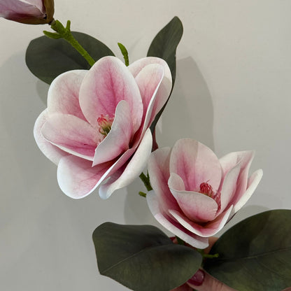 Magnolia Artificial Flower Stem