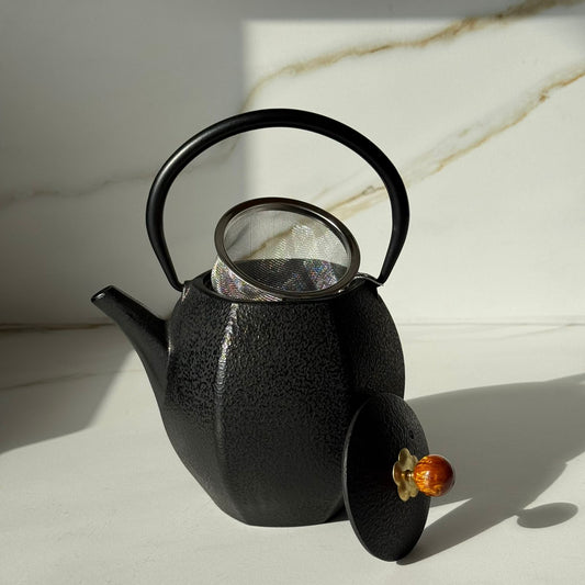 إبريق شاي أنيق من الخزف الحجري مع مصفاة من الفولاذ المقاوم للصدأ