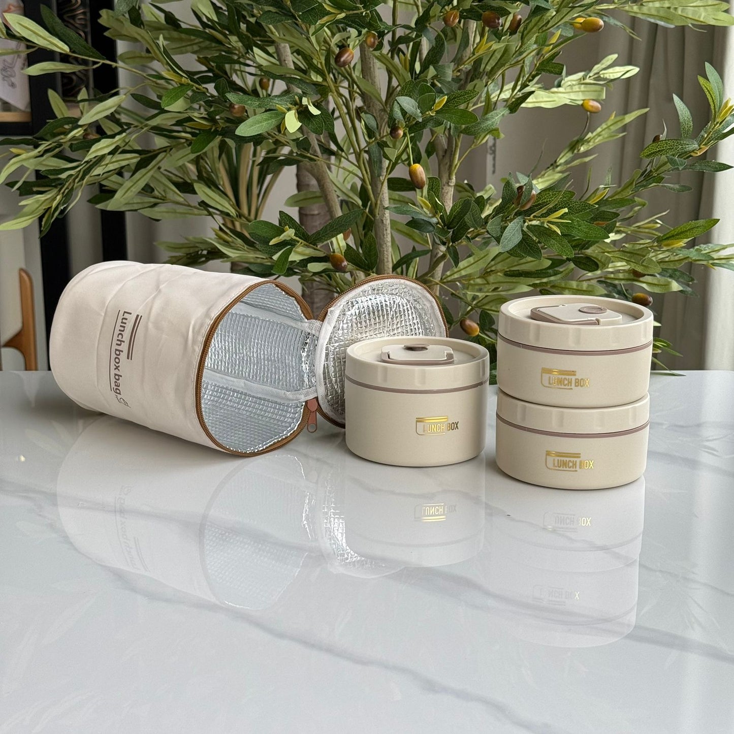 Stainless Steel Insulated Lunch Bowl with Thermal Bag