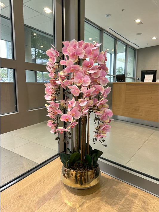 تشكيلة زهور أوركيد وردية فاخرة مع مزهرية ذهبية مزخرفة