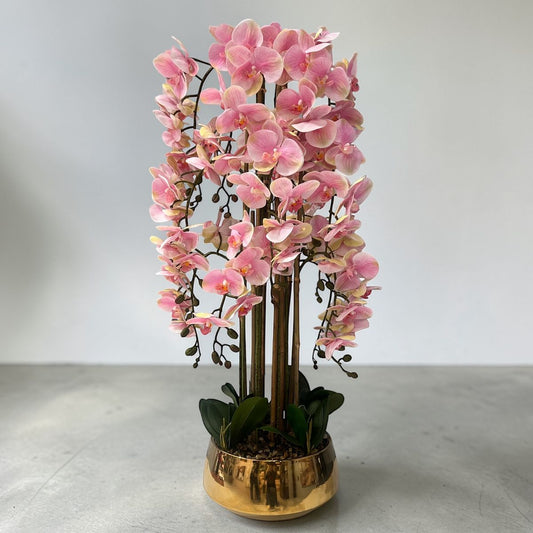 تشكيلة زهور أوركيد وردية فاخرة مع مزهرية ذهبية مزخرفة