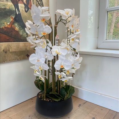 Luxury Orchid Artificial Flower with Decorative Vase - White & Blush Pink