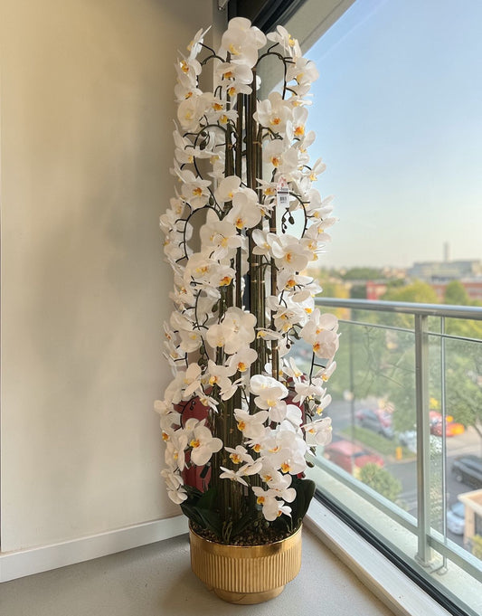 تشكيلة زهور أوركيد بيضاء فاخرة مع مزهرية ذهبية مزخرفة