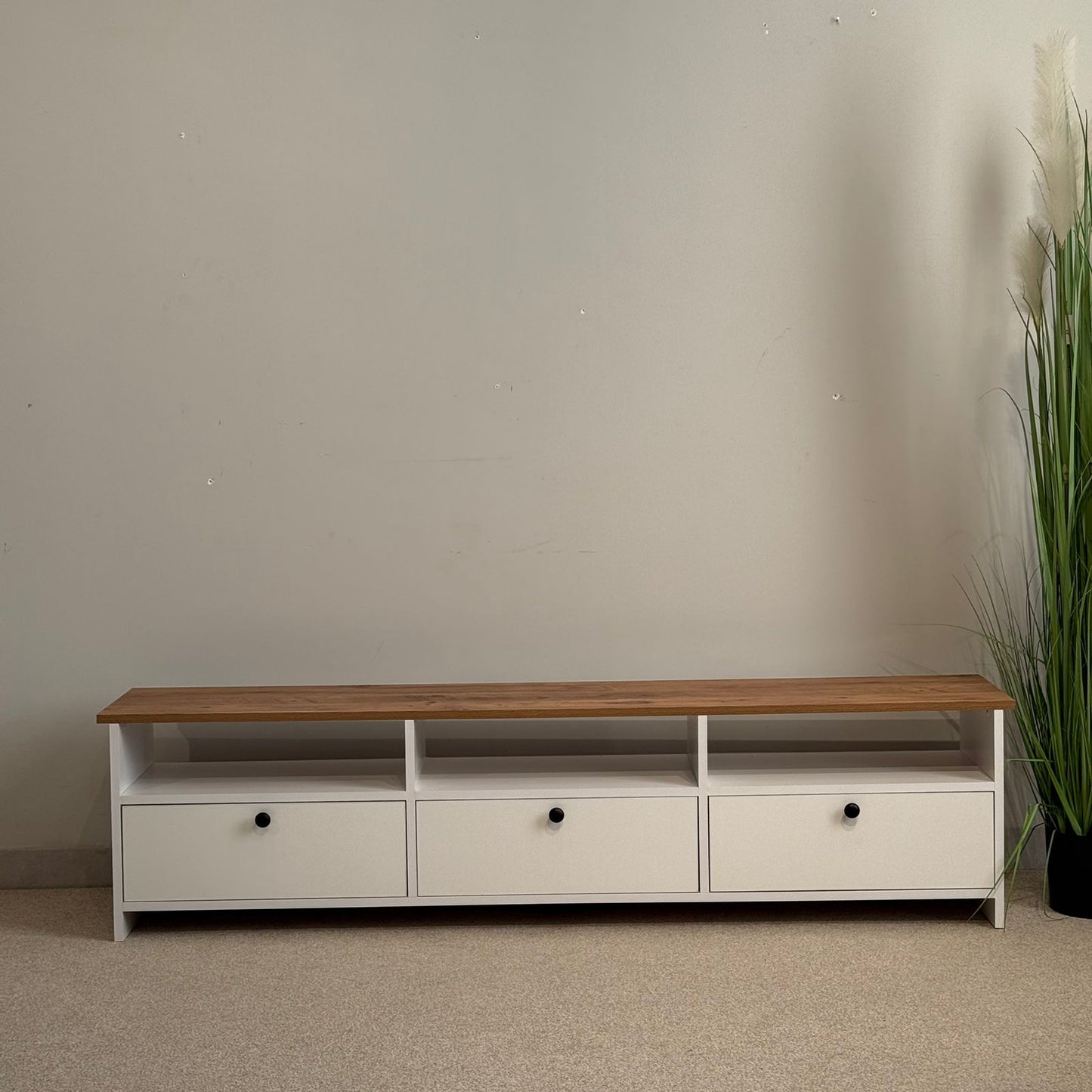 Minimalist Modern TV Table with Storage