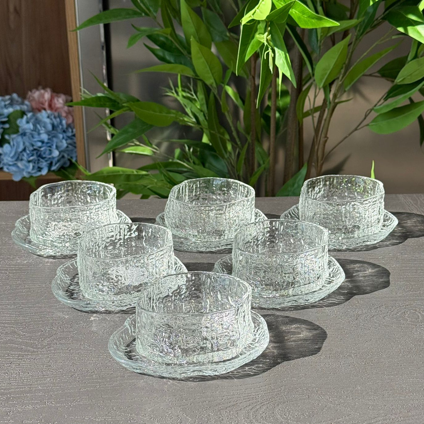 Elegant Glass Snack Serving Bowls with Plates – 12 Pieces