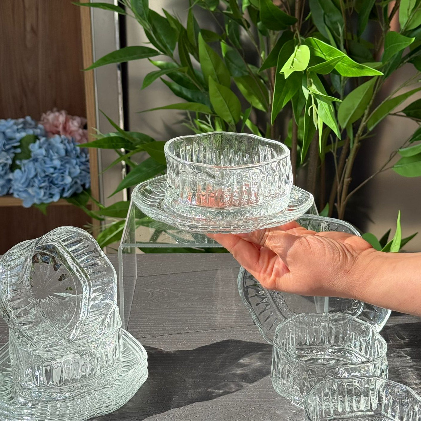 Elegant Glass Snack Serving Bowls with Plates – 12 Pieces