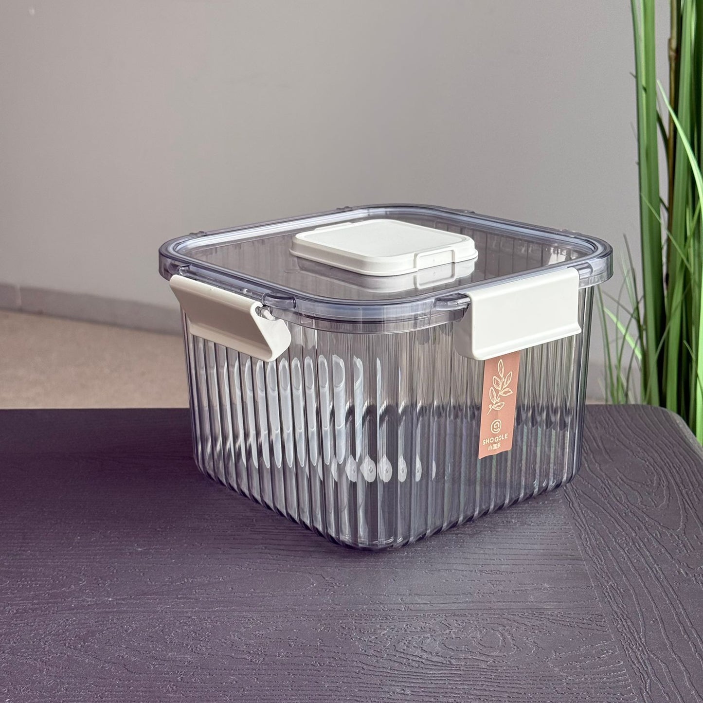 Airtight Food Storage Containers