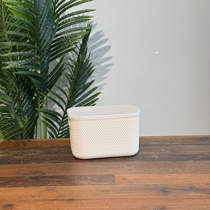 Dual-Size Durable Multi-Purpose Storage Baskets With Cover