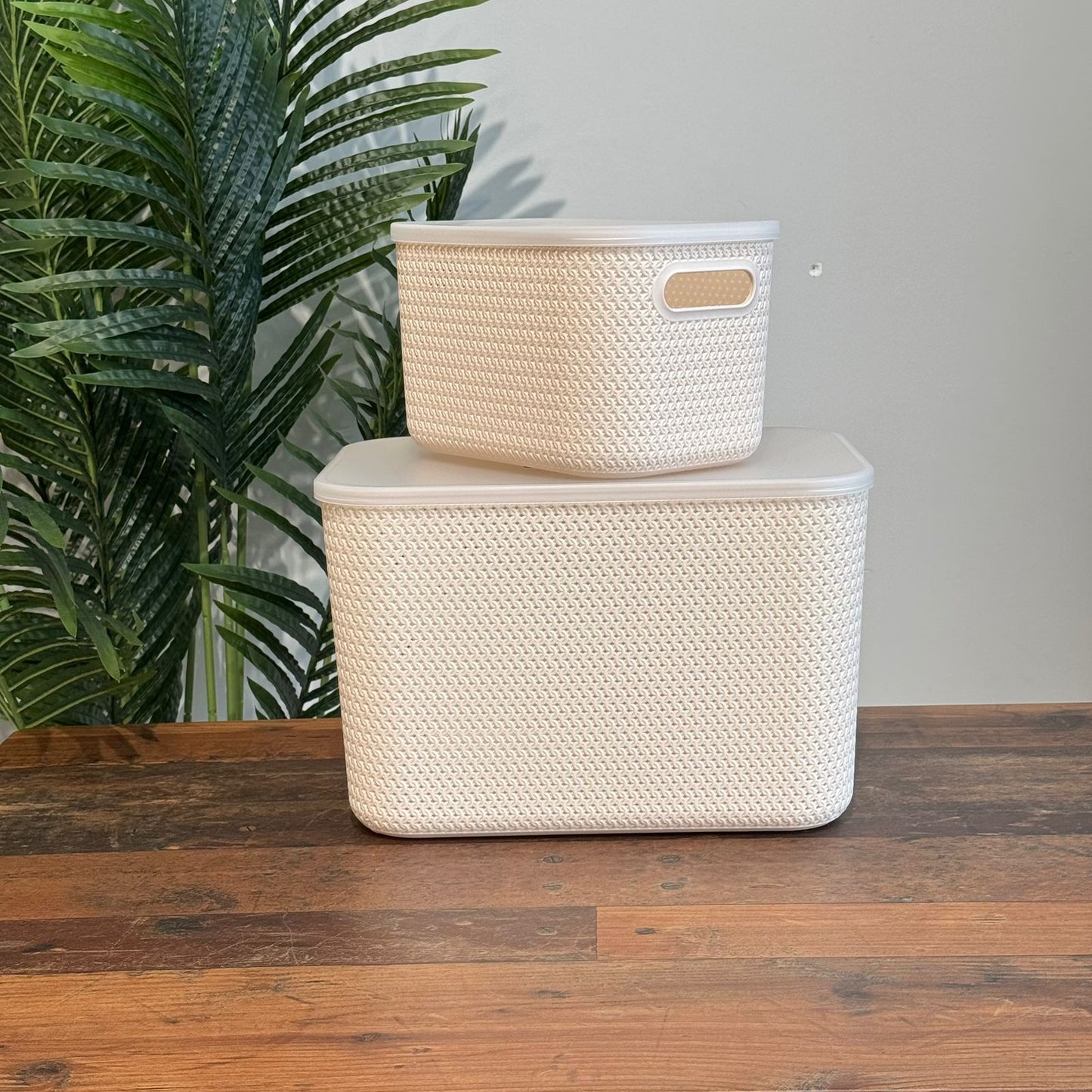 Dual-Size Durable Multi-Purpose Storage Baskets With Cover