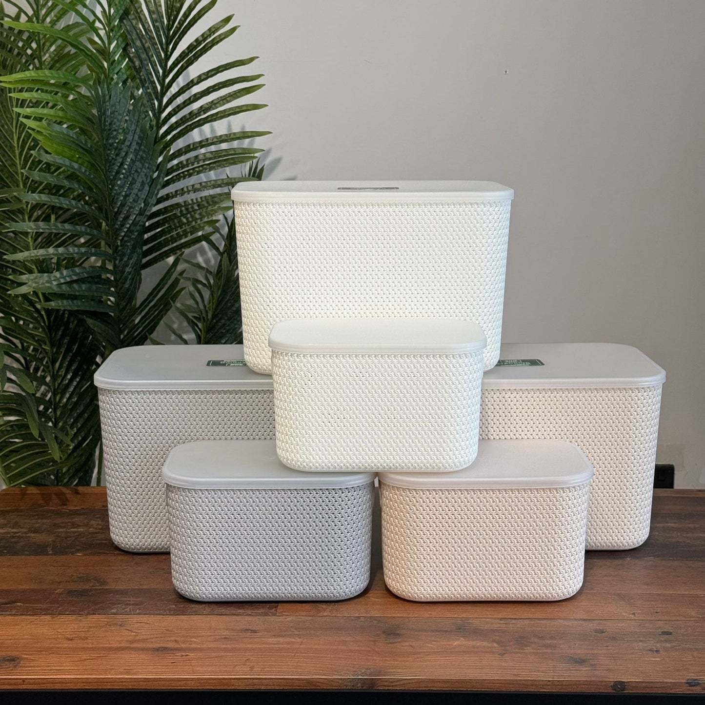 Dual-Size Durable Multi-Purpose Storage Baskets With Cover