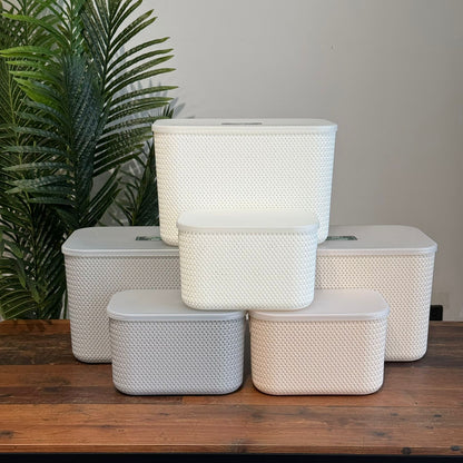 Dual-Size Durable Multi-Purpose Storage Baskets With Cover