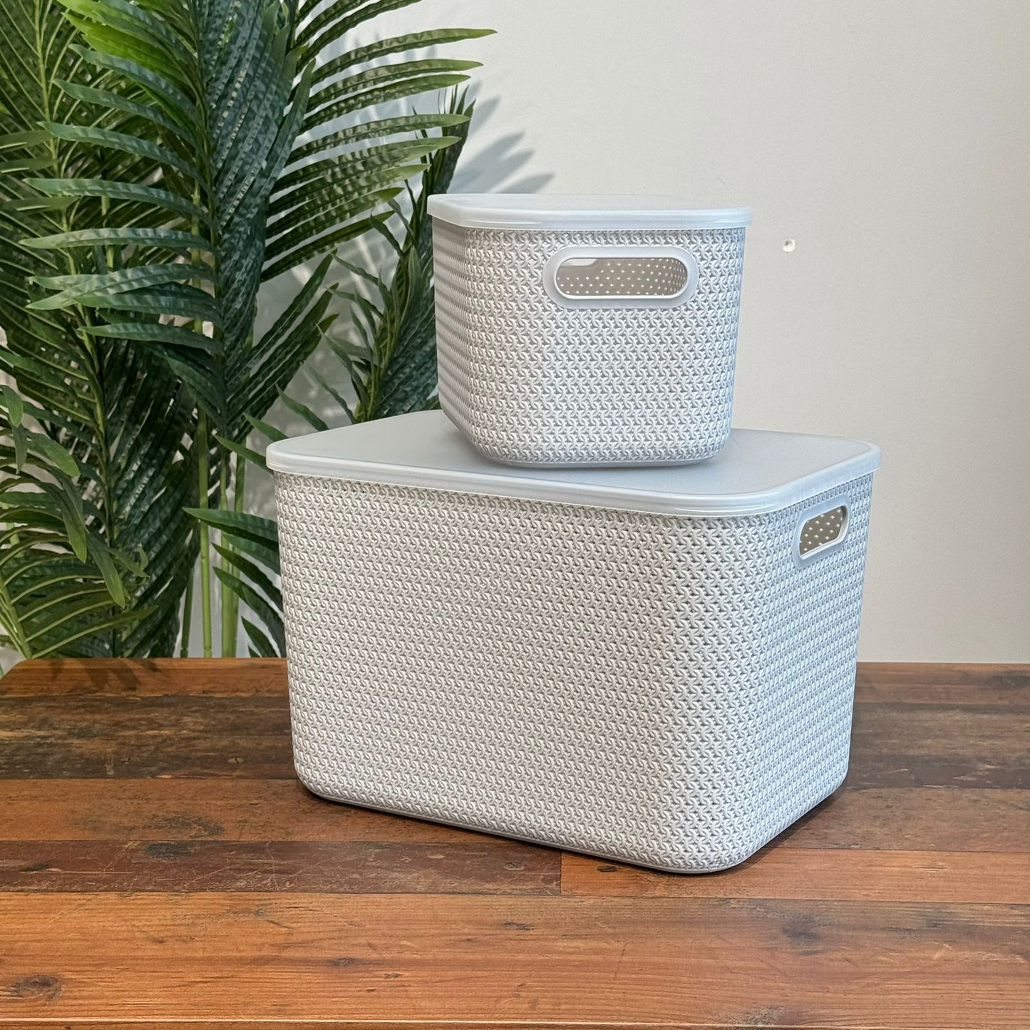 Dual-Size Durable Multi-Purpose Storage Baskets With Cover