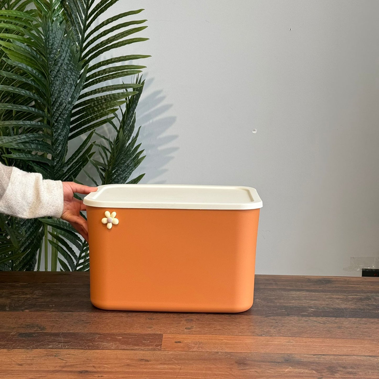 Modern Multi-Purpose Storage Container with Lid