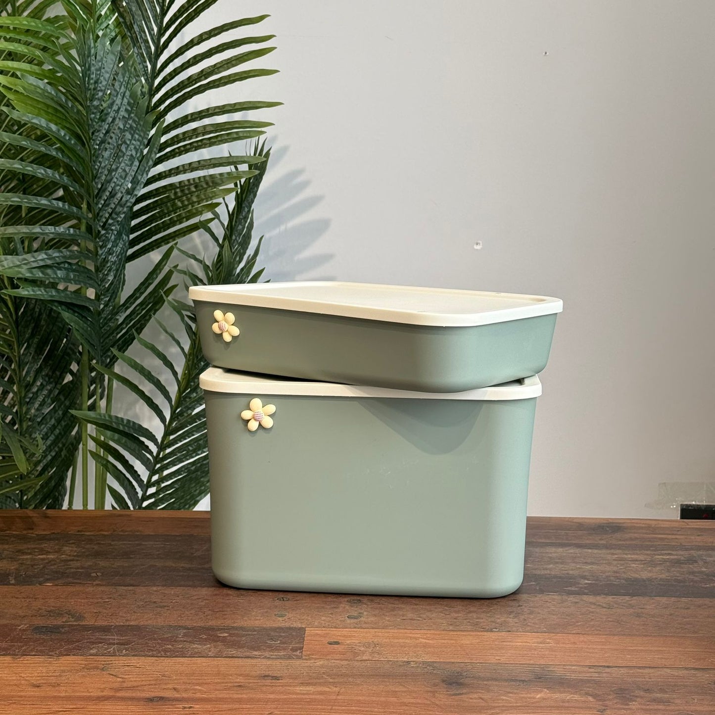 Modern Multi-Purpose Storage Container with Lid