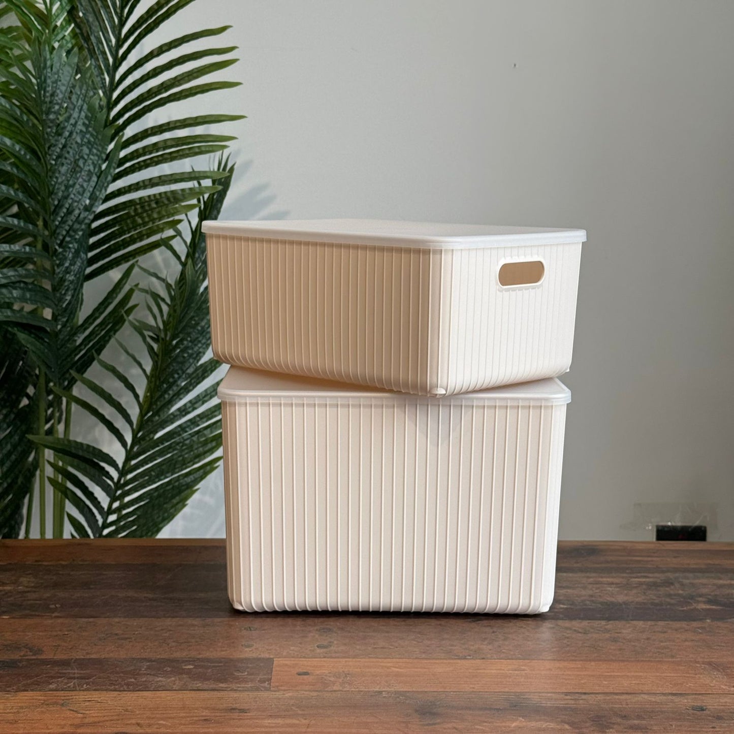 Modern Multi-Purpose Storage Boxes wit Cover
