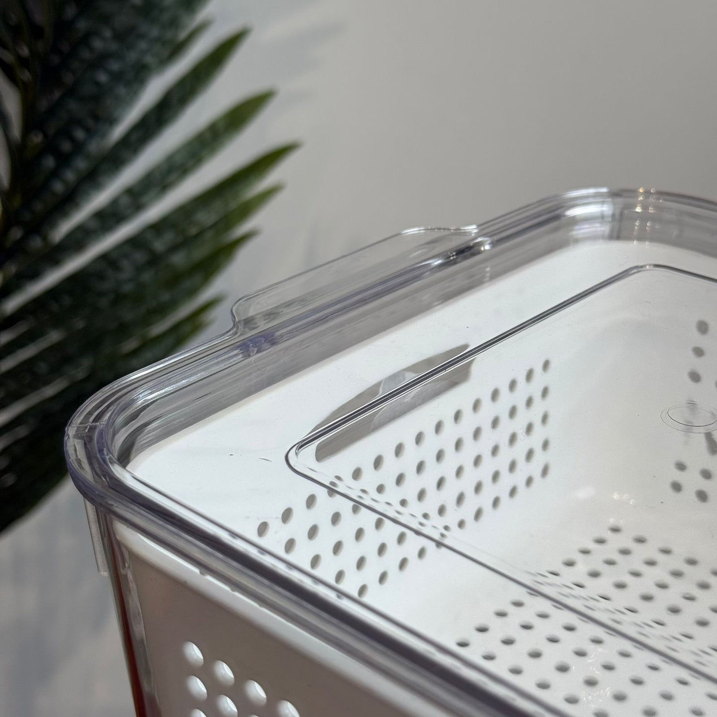 Multi-Purpose Washing & Storage Bowl with Strainer & Lid