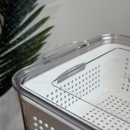 Multi-Purpose Washing & Storage Bowl with Strainer & Lid