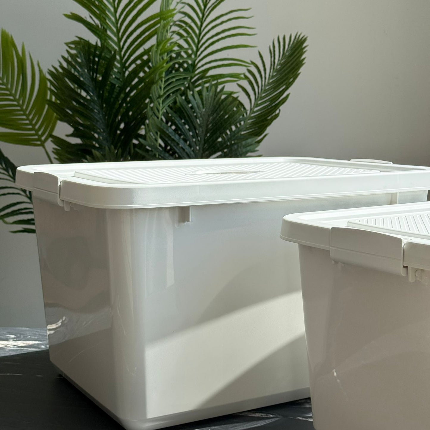 2-Sized Multi-Purpose Storage Boxes
