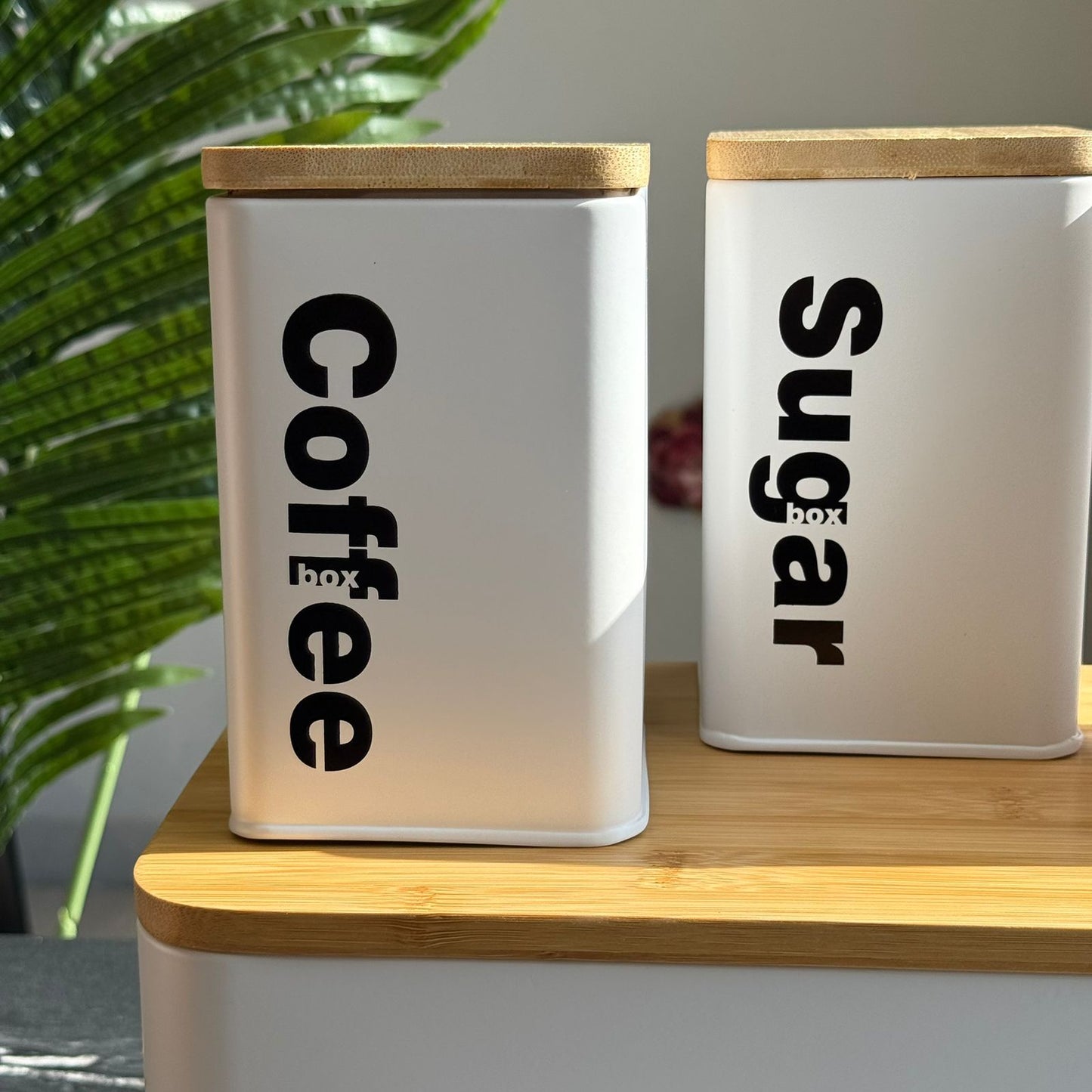 Modern Bread Bin with Storage Canister Set And Wooden Lid