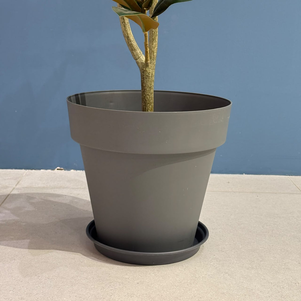 Classic Plastic Plant Pot with Saucer Tray
