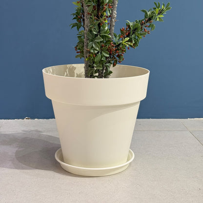 Classic Plastic Plant Pot with Saucer Tray