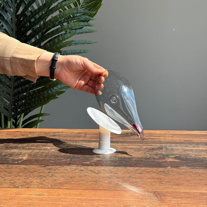Modern Transparent Soap Holder with Suction Stand