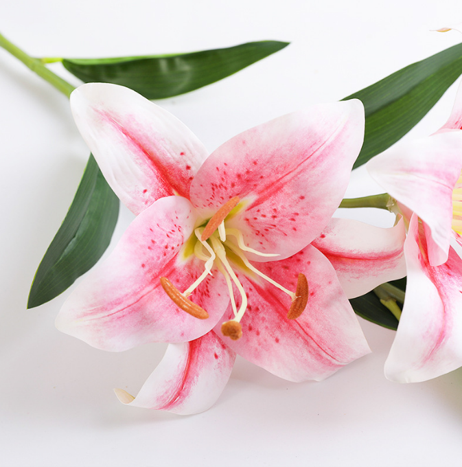 Lily - False Flowers