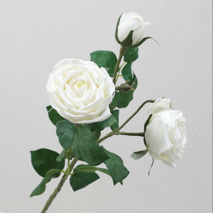 Sweet Heart Rose - False Flowers