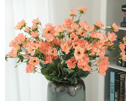 Tree Peony - False Flowers