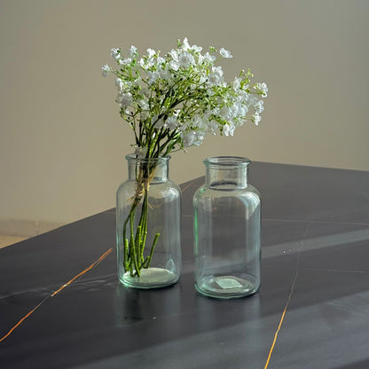 Classic Clear Glass Vase