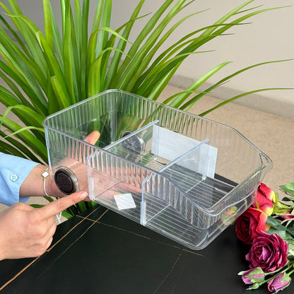 Clear Multi-Section Storage Organizer Box