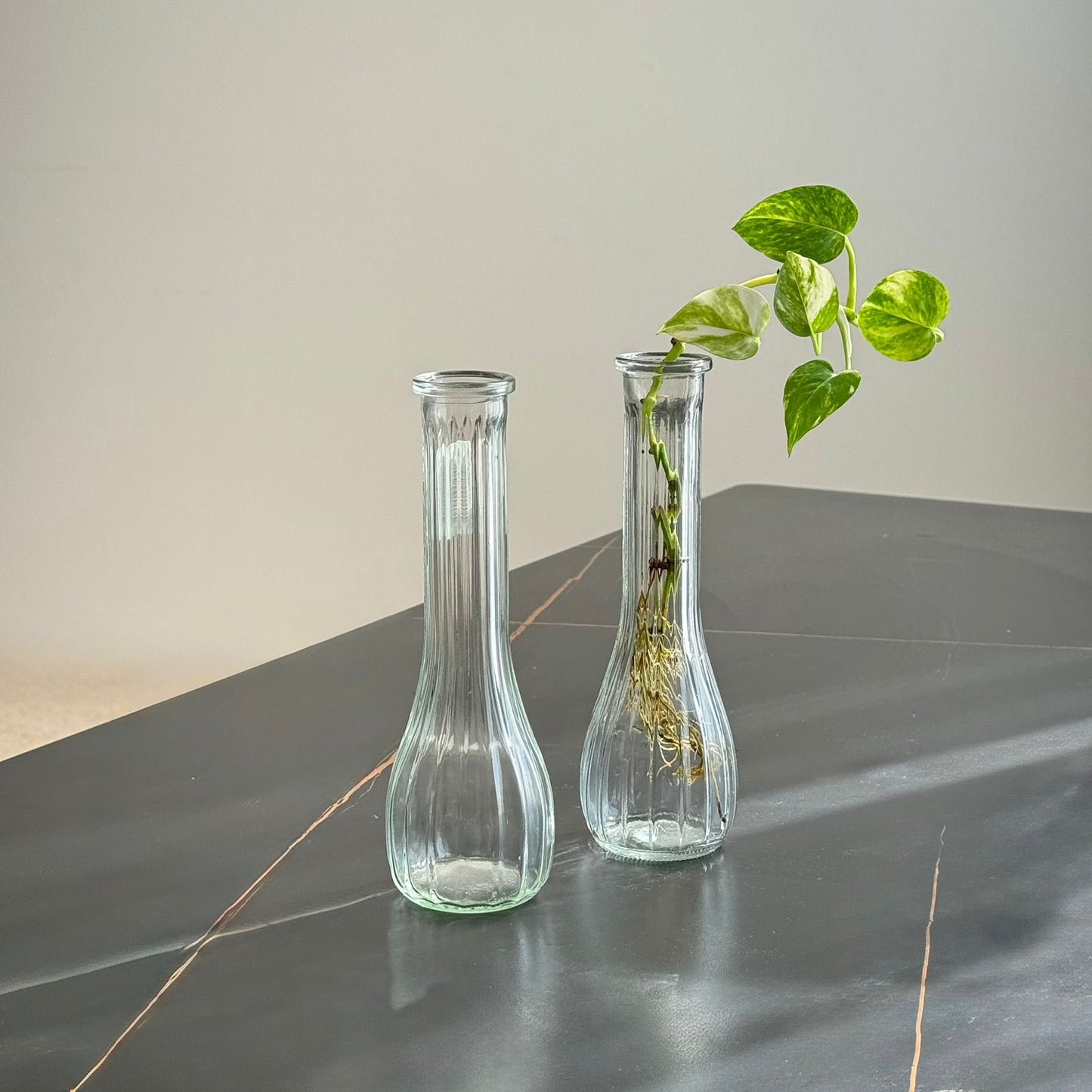 Modern Clear Glass Vase