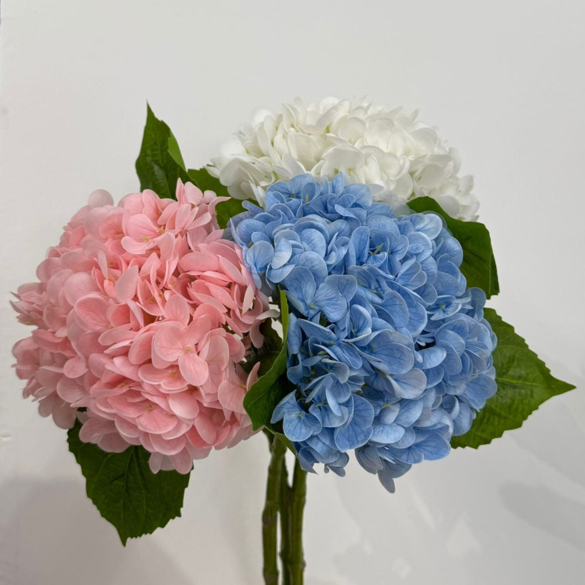 Hydrangea - False Flower