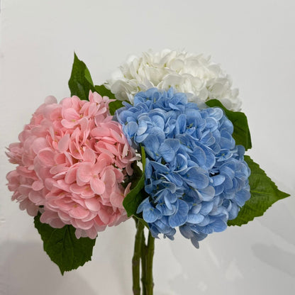 Hydrangea - False Flower
