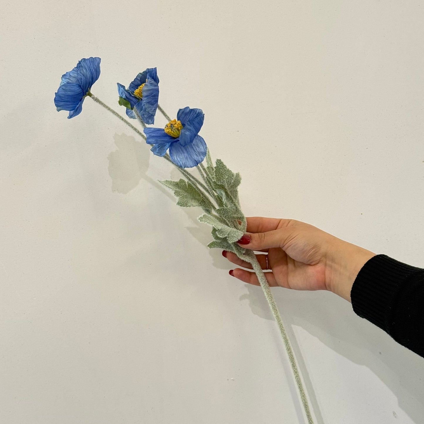 پۆپی ئایسلەندا – گوڵی دەستکرد