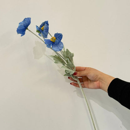 پۆپی ئایسلەندا – گوڵی دەستکرد