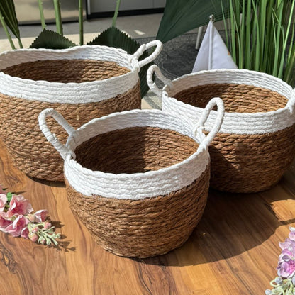 Two-Tone Seagrass Baskets with Handles - Set Of 3