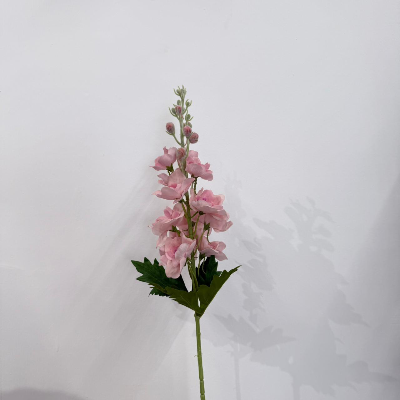 Blush Tower Delphinum Stem