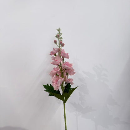 Blush Tower Delphinum Stem