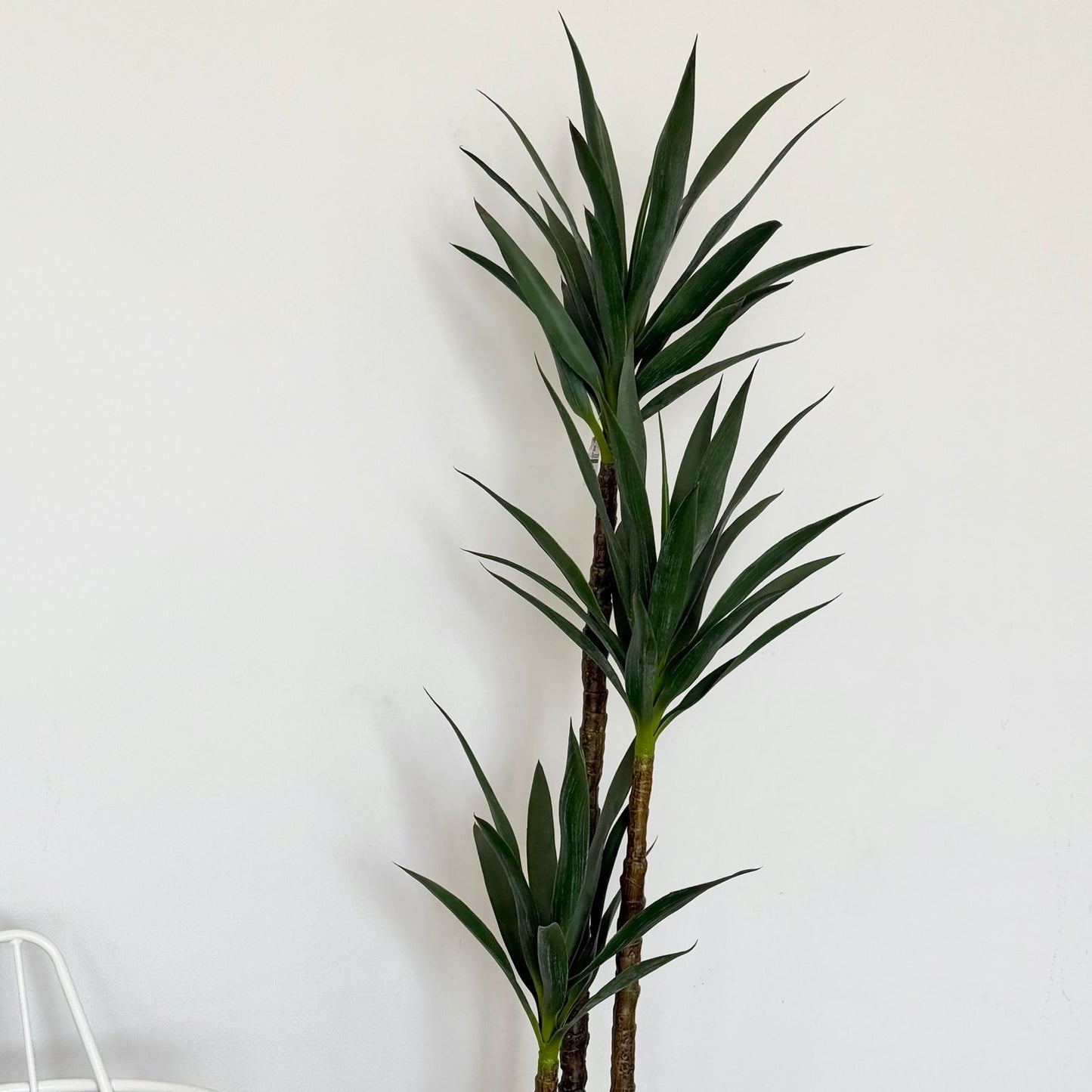 Yucca Elegance Artificial Plant