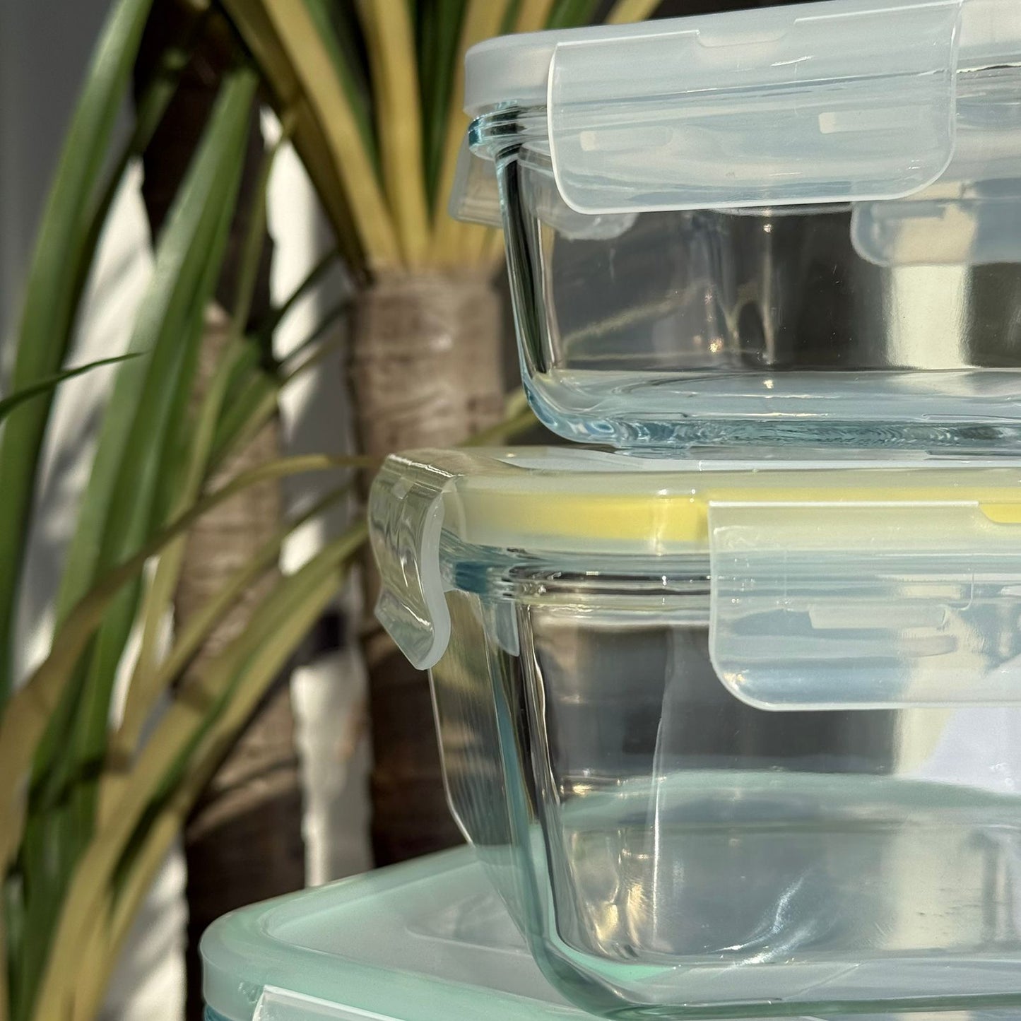 Modern Airtight Glass Food Storage Box Set with Lids