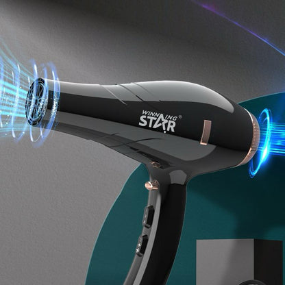 Professional Strong Wind Hair Dryer