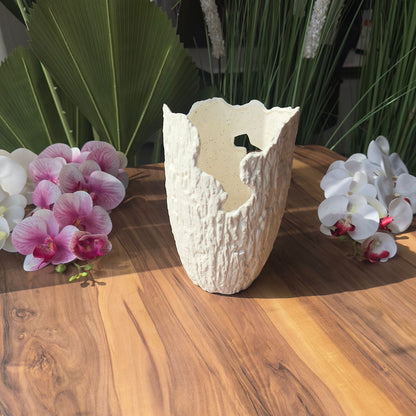 Nature Crave Decorative Vases